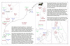 kin65 northwest australia_thumb.gif